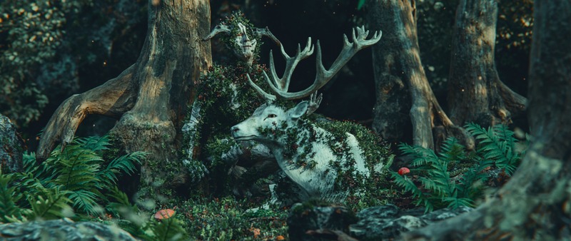 Forest Voices